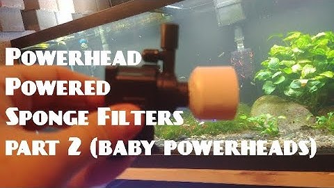 Powerhead Powered Sponges Part 2 (baby powerheads)
