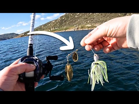 This is the Best Lure for Bass Fishing in Shallow Brush 
