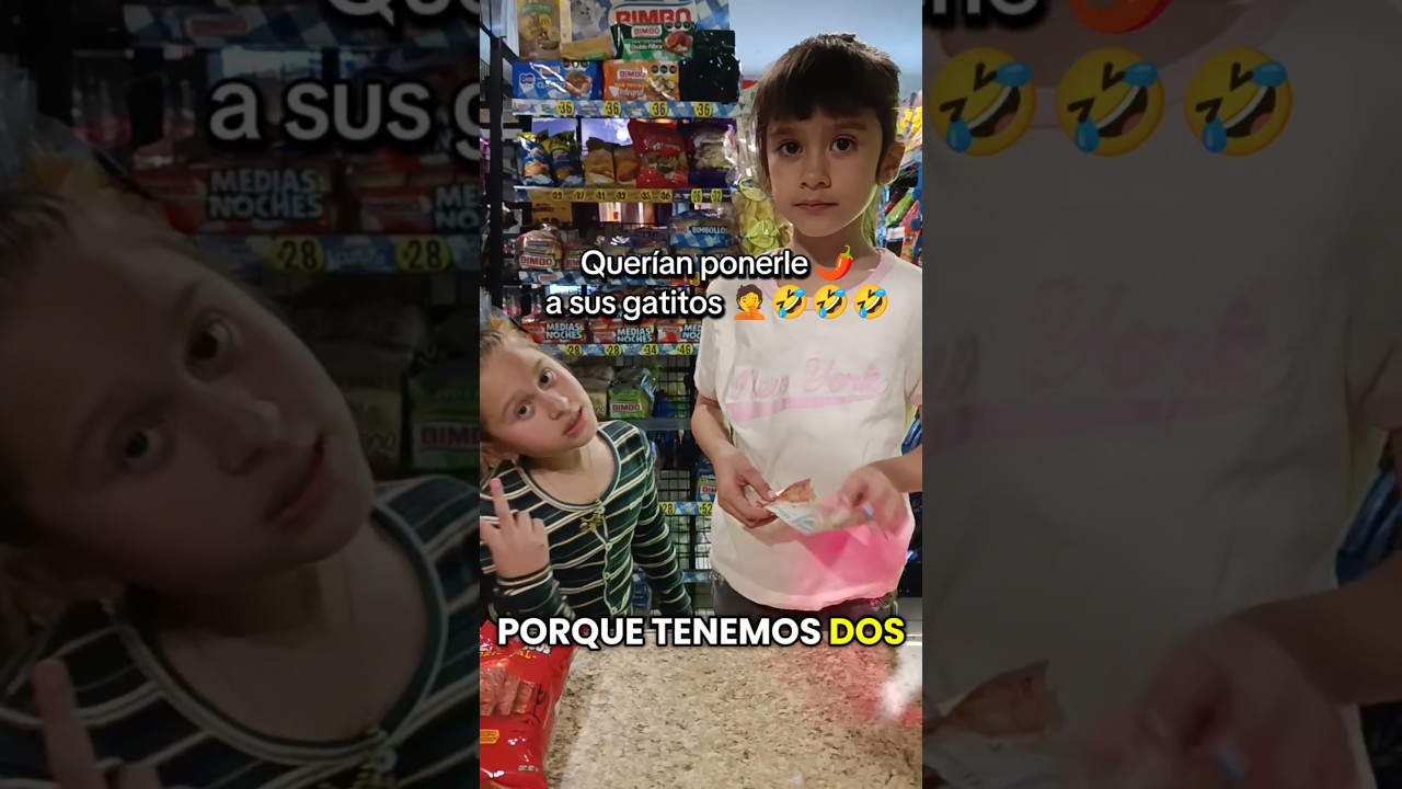 Mocosas querían ponerle 🌶️ a sus gatitos 🤦🤣🤣🤣 