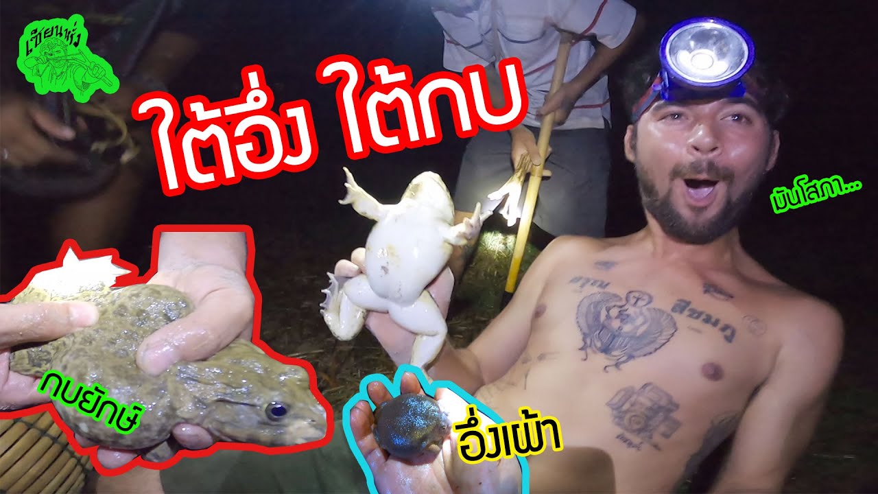 เซียนหรั่ง - วิถีชีวิตแบบมะลายยายอยาก l ตอน ใต้อึ่ง ใต้กบ