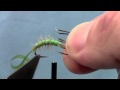 Tying with hans hydropsyche caddis larvae