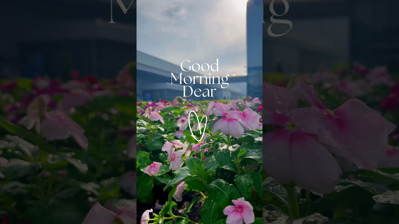 Good Morning Dear ☀️ Sweet Morning Song | Have a Nice Day | Morning Love Music ❤️(Male Ver)