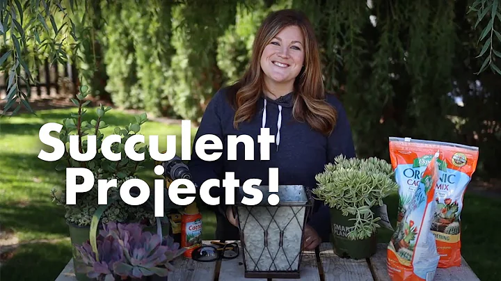 Succulent Success! 🌺 // Garden Answer