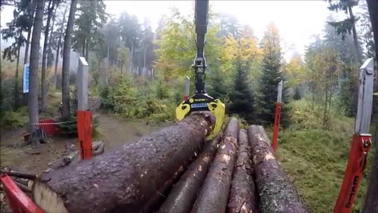 Forstanhänger Schwarz mit Kran / Rimorchio forestale Schwarz con gru