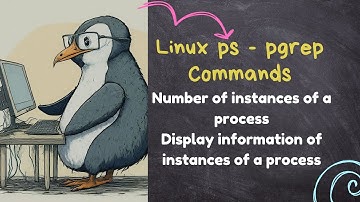 Monitoring Process Instances: PID, PPID, Owner, and Elapsed Time in Linux with Bash Script