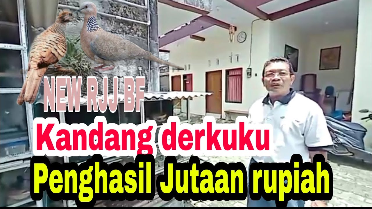 ⛔ UKURAN KANDANG TERNAK DERKUKU KELANTAN | NEW RJJ BF 