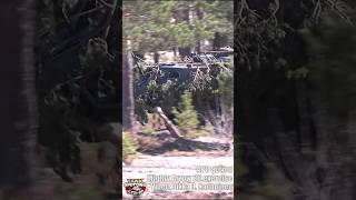 APCs Moving In For Attack - Mighty Arrow 2026 Exercise Finland