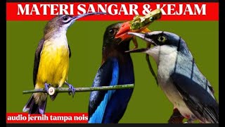 tembakan tegas sejalur | pijantung pisang, tengkek udang dan jinjing petulak