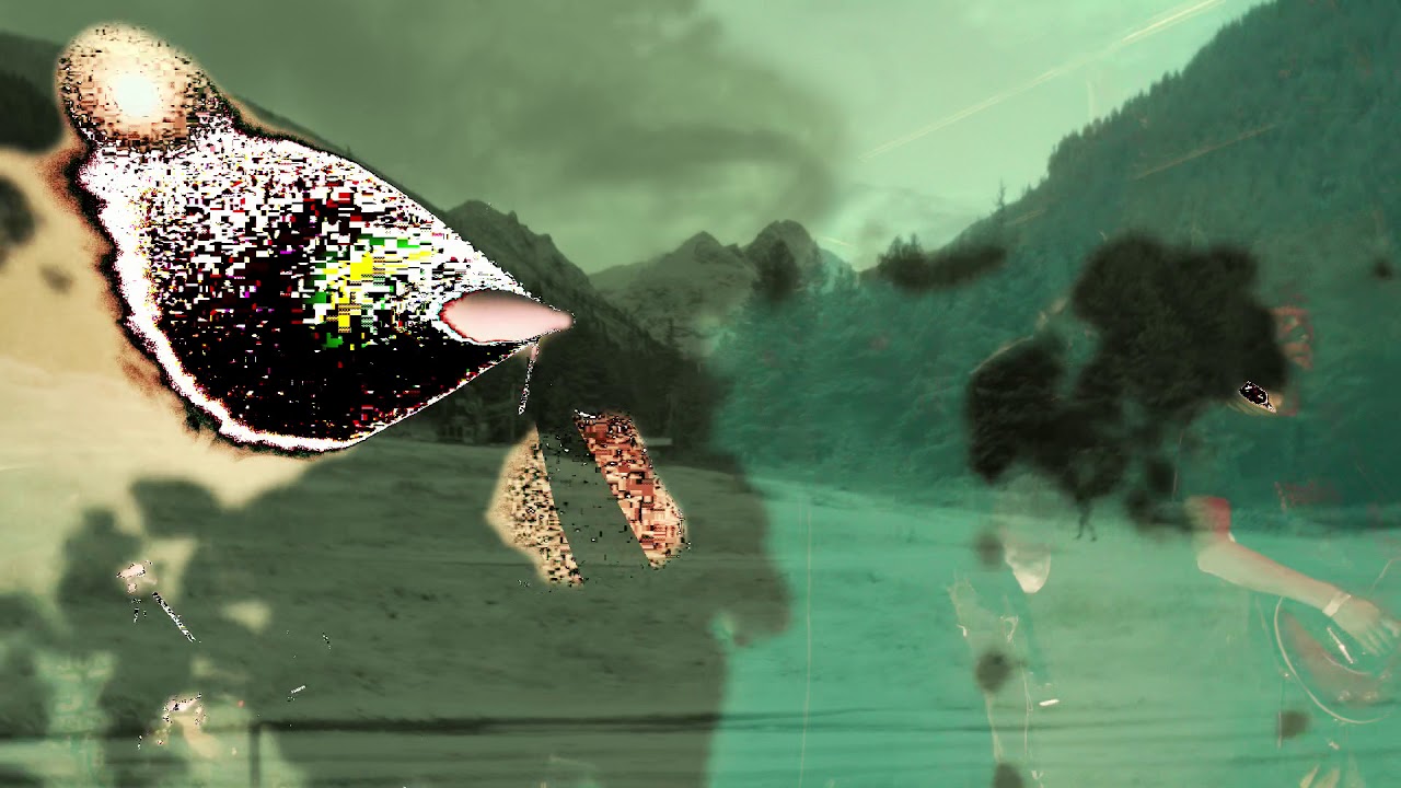 MUDDY - Collapse Without Honor