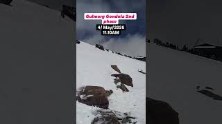 All over India Tour Operator#travel #mountains #snow #aajkanarisabperbharihilldoda #nature #snowfall