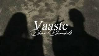 Vaaste (Lyrical Video) | @dhavanibhanushali9134 | LYRICAL video | ASTHETIC LYRICS