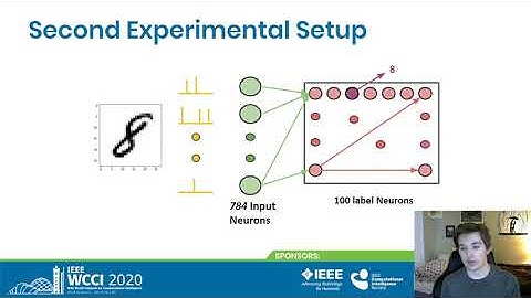 Minibatch Processing in Spiking Neural Networks