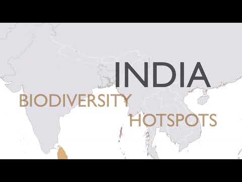India: An Amphibian Hotspot