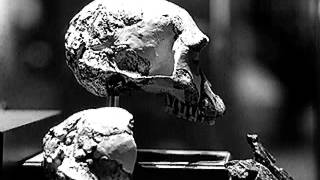 human traces trailer