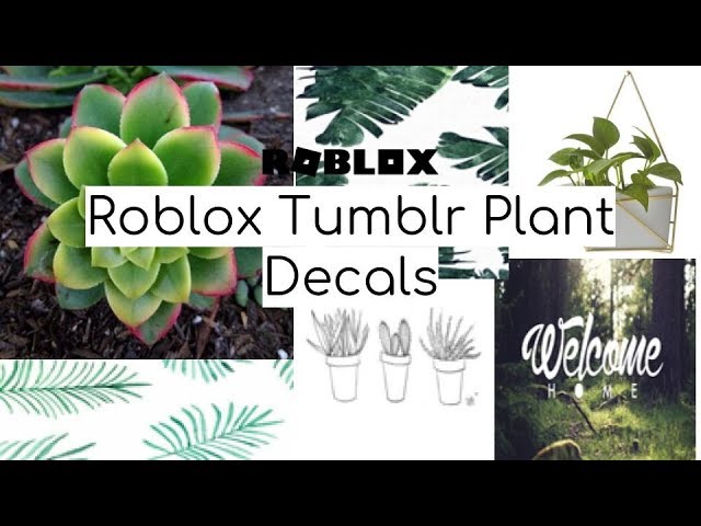 Roblox Tumblr Plant Decal Codes Youtube - roblox decal id codes plants
