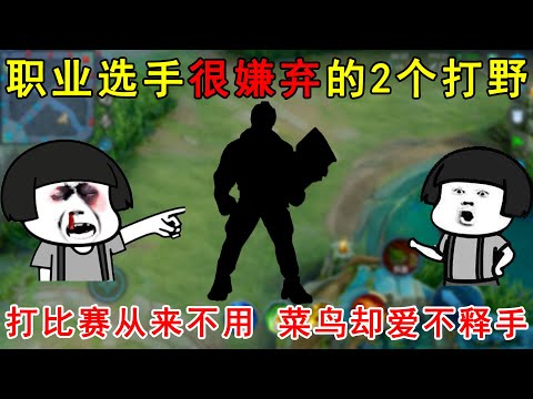 职业选手很嫌弃的2个打野！打比赛从来不用，菜鸟却爱不释手！