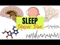 Sleep - Deeper Dive