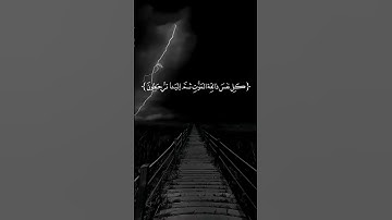 قرآن كريم ❤ #اكسبلور #الرحمن #المصحف #duet #دويتو #لايك #اعتني #تيك_توك #المراه #القزابري #راحة_نفسي