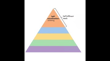 THE REAL HIERARCHY OF NEEDS