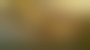 Thi Công Phào Chỉ PU - Phong Cách Nội Thất Tân Cổ Điển