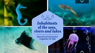 Water inhabitants. English Doman cards - Kids vocabulary - English educational video