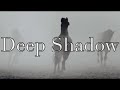 Deep shadow  horse music 