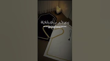 تلاوة خاشعة الشيخ ياسر الدوسري #قرآن #اكسبلور #الدوسري #مصحف
