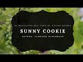 Proyecto Cocina te adora