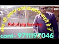 How to build pig farm in india UP kanpur 9711197046