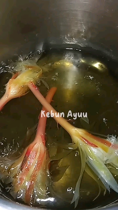 Manfaat bunga Wijaya Kusuma,  dianggap horor & Mistis. #shorts #trending #viralvideo #fyp