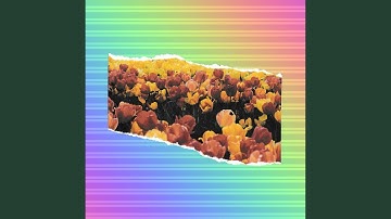 Pulsating Ambience for Forgetting Hope