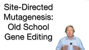 Site-Directed Mutagenesis Explained | Understanding the Basics