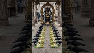 OM Sham Shanicharaya Namah🙏🙏 #shani#shanidev