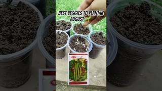 Summer Vegetables To Grow At Home