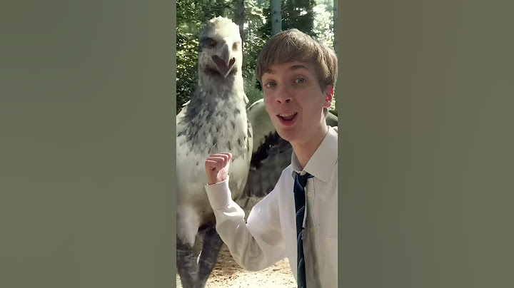 Day in the life at Hogwarts - pt2