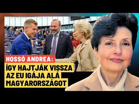 Az EU levadássza a Tisza Pártot, ha már nem lesz rá szüksége? Hossó Andrea közgazdász az Ultrahangban