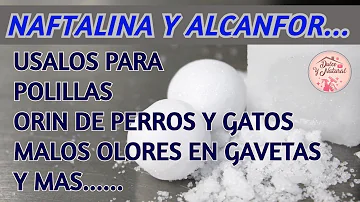 ¿Las bolas de naftalina eliminan las serpientes de cascabel?