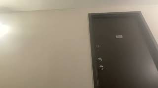 IMG 1029