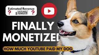 How Much Money YouTube Paid My Dog With 11,000 Subscribers (My First 30 Days as a Monetized Creator)