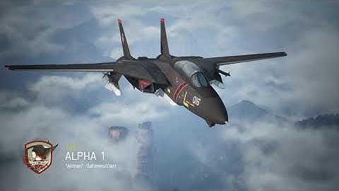 Razgriz 1 F-14A Ace Combat 7 - Multiplayer Battle Royale