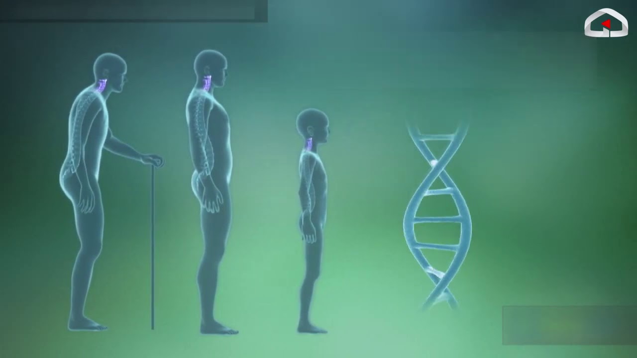 Телеклиника / Омуртка оорулары. Остеохондроз оорусун алдын алуу