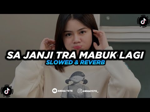 DJ SA JANJI TRA MABUK LAGI (Slowed & Reverb) 🎧