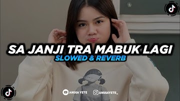 DJ SA JANJI TRA MABUK LAGI (Slowed & Reverb) 🎧