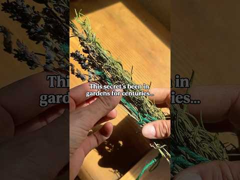 You Gotta Try This Next Time