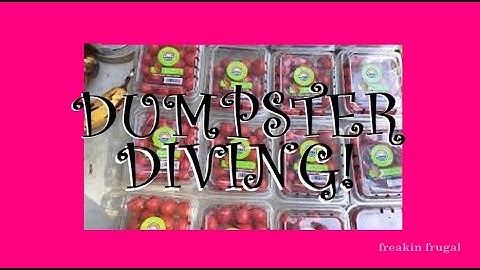 DUMPSTER DIVING ~ HE SCORED AT THE ALDI DUMPSTER  BUT ALMOST GOT CAUGHT! YIKES DRAMA! A MUST-WATCH!