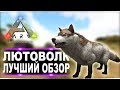 Лютоволк Direwolf в АРК  Лучший обзор приручение, разведение и способности  в ark