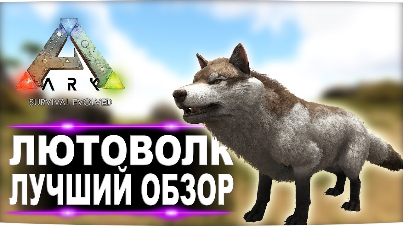 Лютоволк Direwolf в АРК  Лучший обзор приручение, разведение и способности  в ark