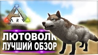 Лютоволк Direwolf в АРК  Лучший обзор приручение, разведение и способности  в ark