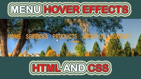Menu Cool Hover Effect Using HTML & CSS || Q Tech Info