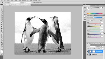[3D Buzz][Photoshop CS5 Fundamentals] 058. Black and White